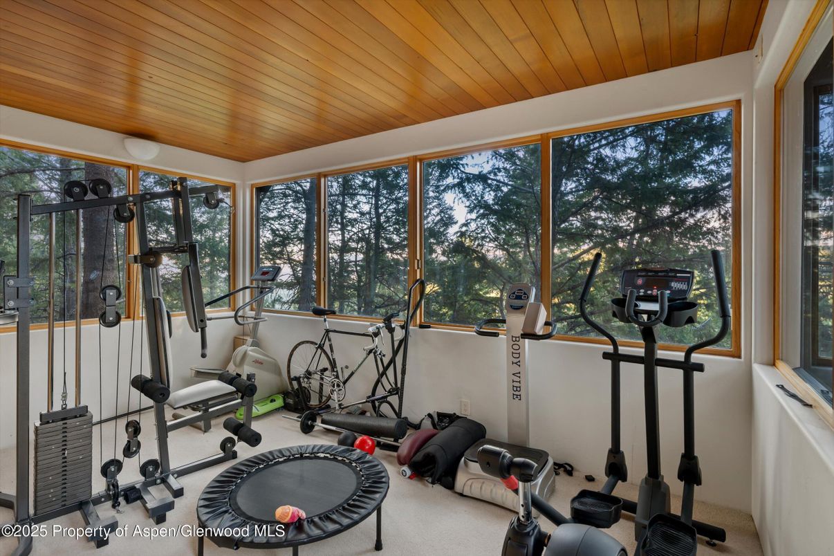 Fitness Equipment, Interior, Sun Room, Wooden Ceilings