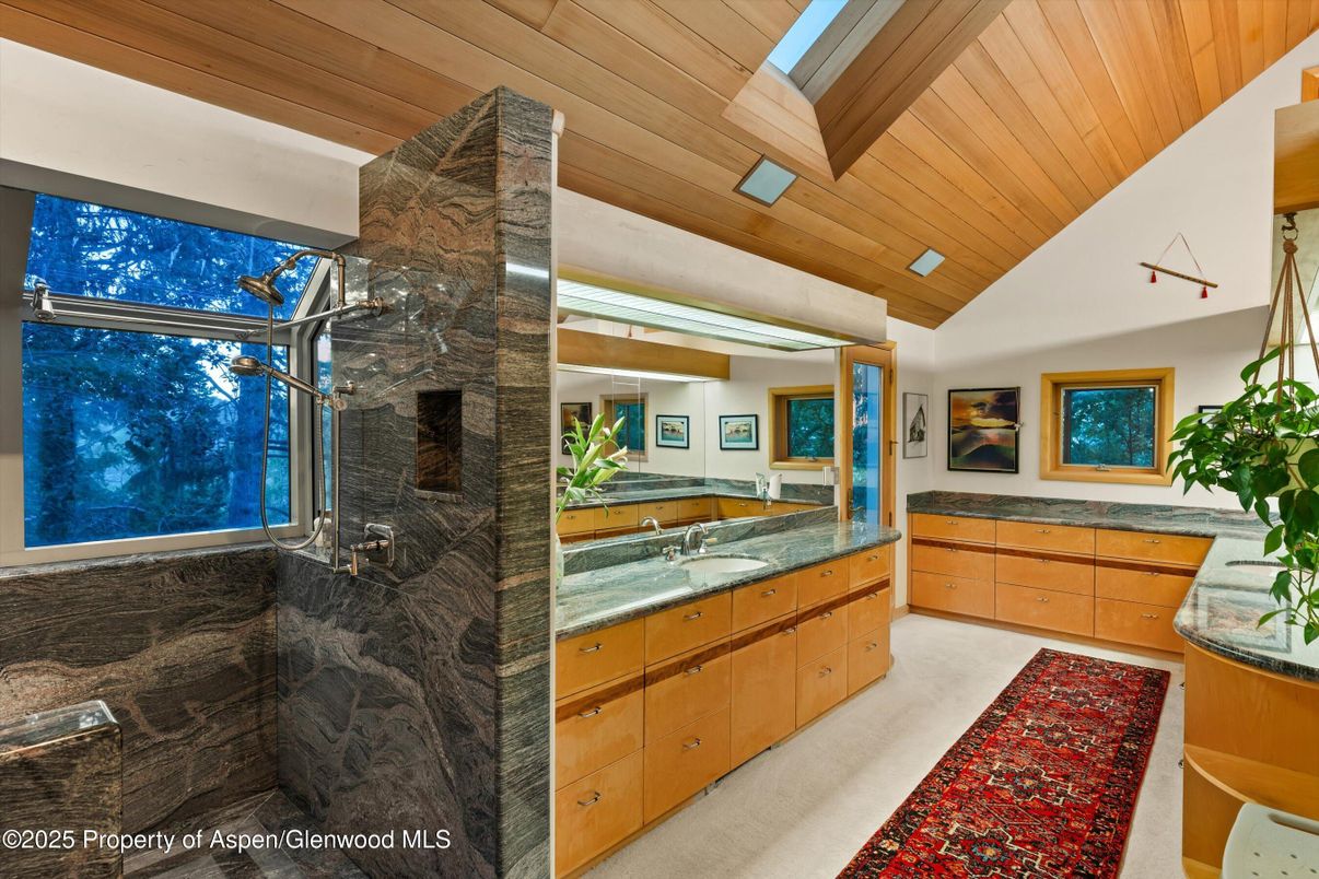 Bathroom, Interior, Wooden Ceilings