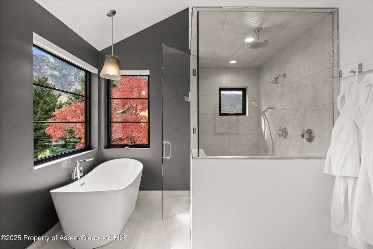 Bathroom, Free Standing Baths, Glass Shower, Interior, Pendant Lights, Recessed Lighting, Wood Texture Flooring