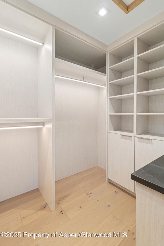Interior, Recessed Lighting, Walk-in Closets, Wood Texture Flooring