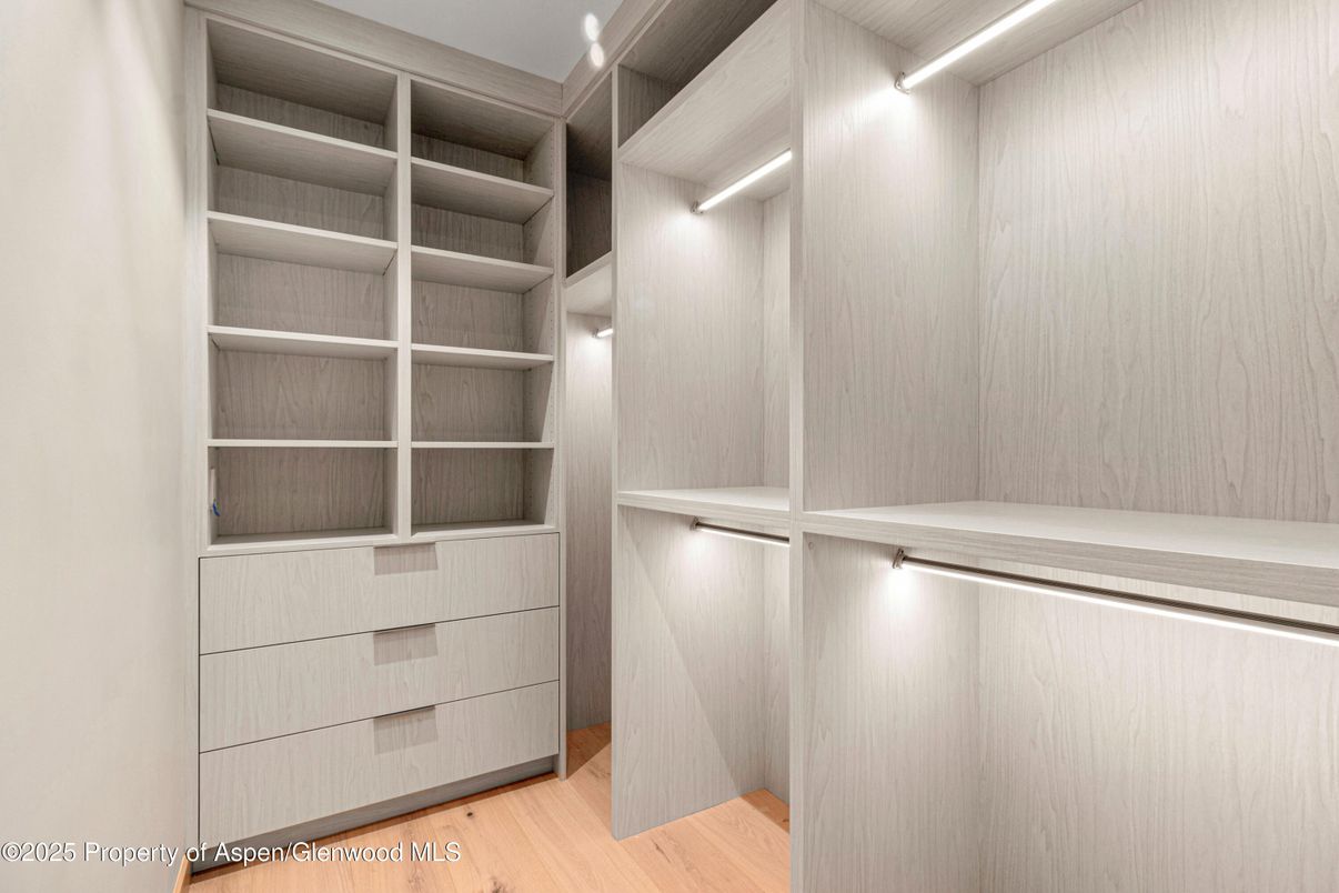 Interior, Walk-in Closets, Wood Texture Flooring