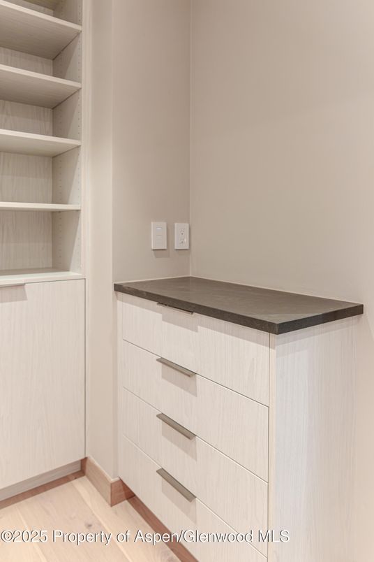 Interior, Walk-in Closets, Wood Texture Flooring
