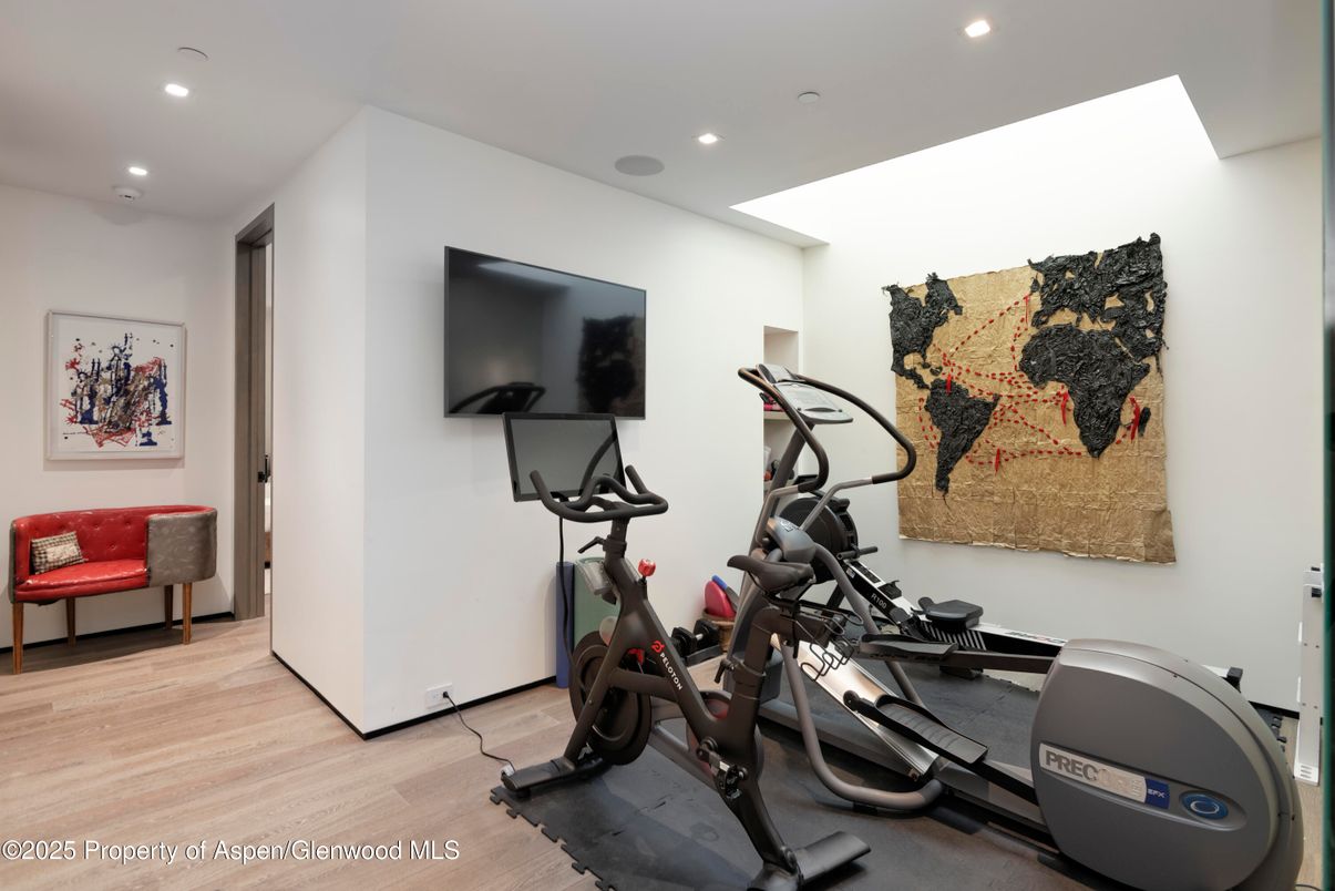 Fitness Equipment, Interior, Recessed Lighting, Wood Texture Flooring