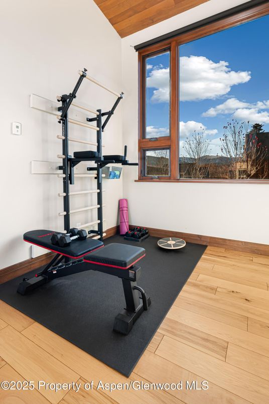 Fitness Equipment, Interior, Wooden Ceilings, Wood Texture Flooring