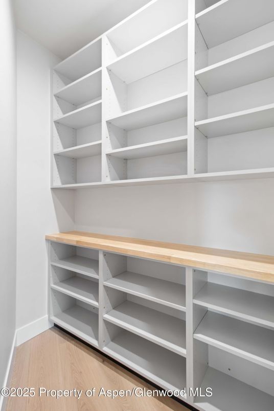 Interior, Walk-in Closets, Wood Texture Flooring