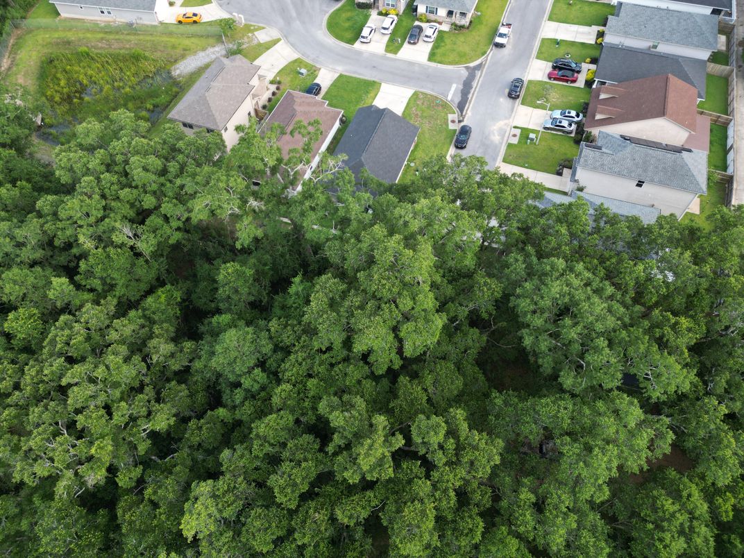 Exterior, Drone