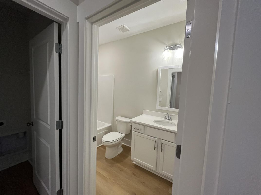 Bathroom, Interior, Wood Texture Flooring