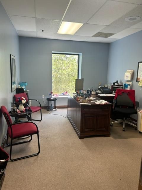 Home Office, Interior, Recessed Lighting