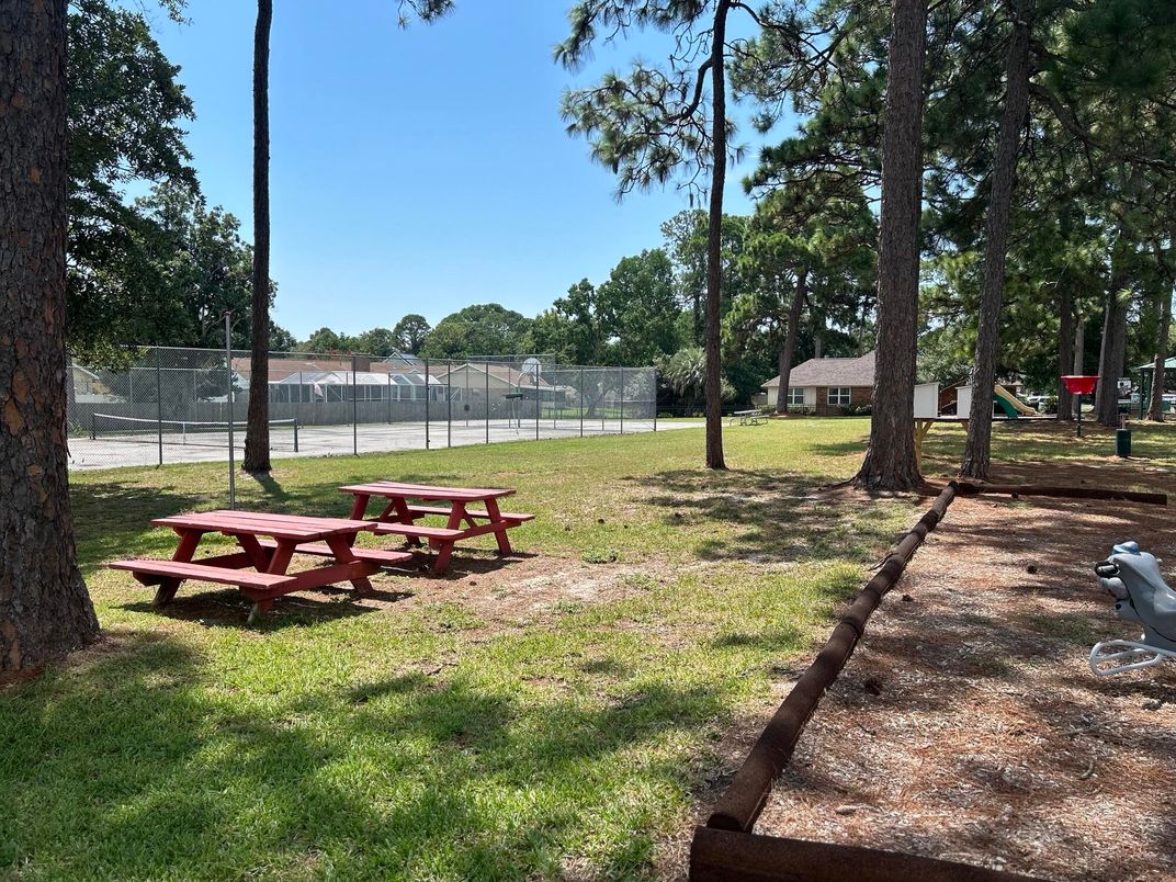 Backyard, Exterior, Playground