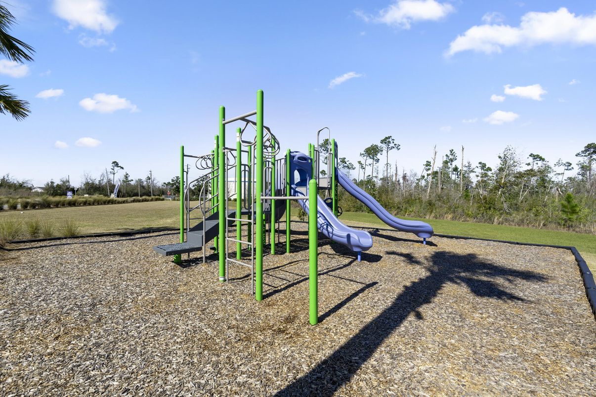 Backyard, Exterior, Playground