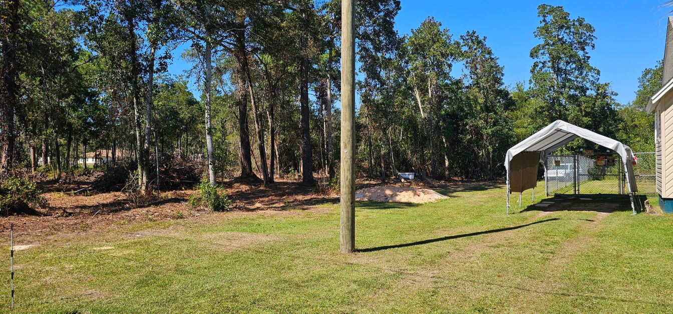 Backyard, Exterior, Playground