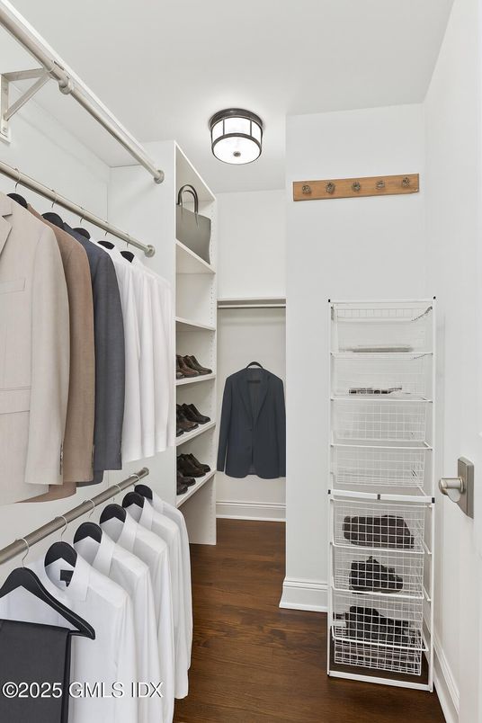 Interior, Walk-in Closets, Wood Texture Flooring