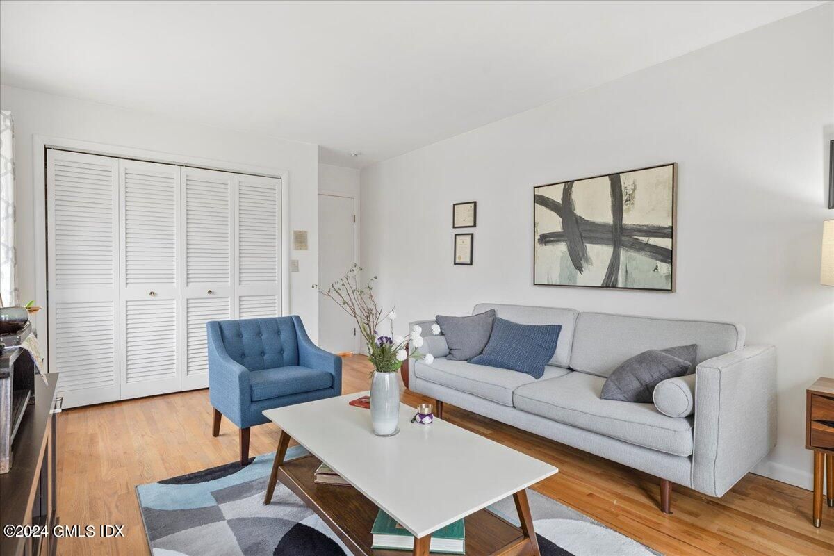 Interior, Living room, Washer, Wood Texture Flooring