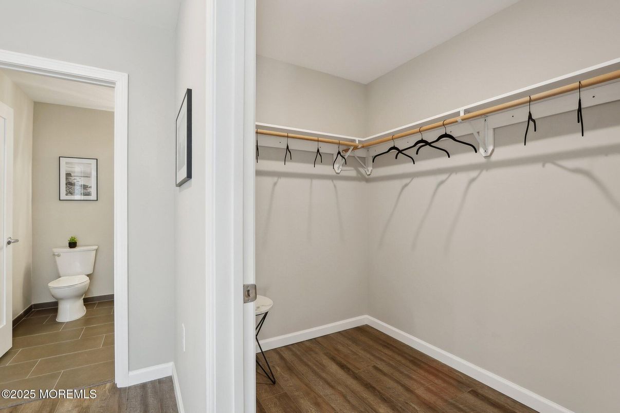 Bathroom, Interior, Walk-in Closets, Wood Texture Flooring