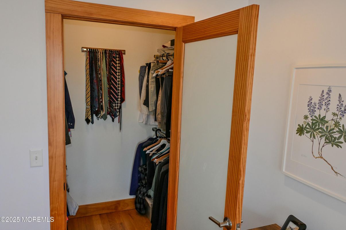 Interior, Walk-in Closets, Wood Texture Flooring