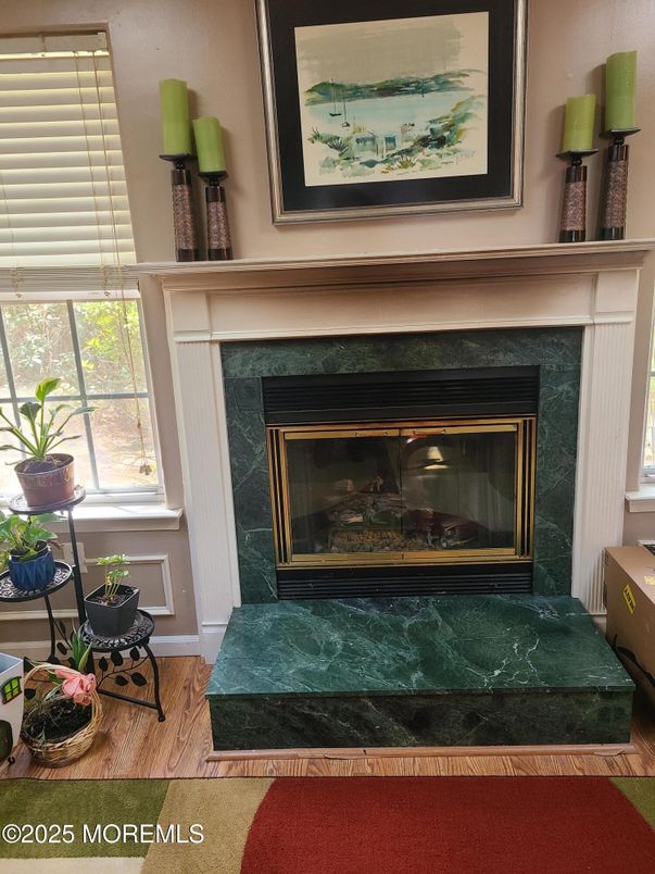 Fireplace, Interior, Wood Texture Flooring