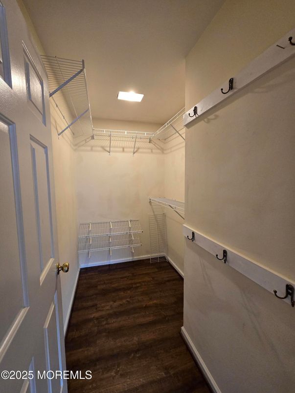 Interior, Recessed Lighting, Walk-in Closets, Wood Texture Flooring