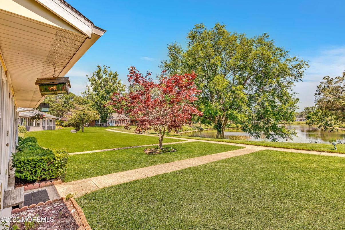 Backyard, Exterior, Water