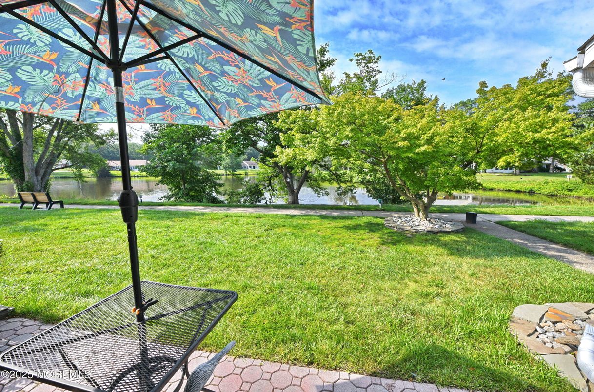 Backyard, Exterior, Water