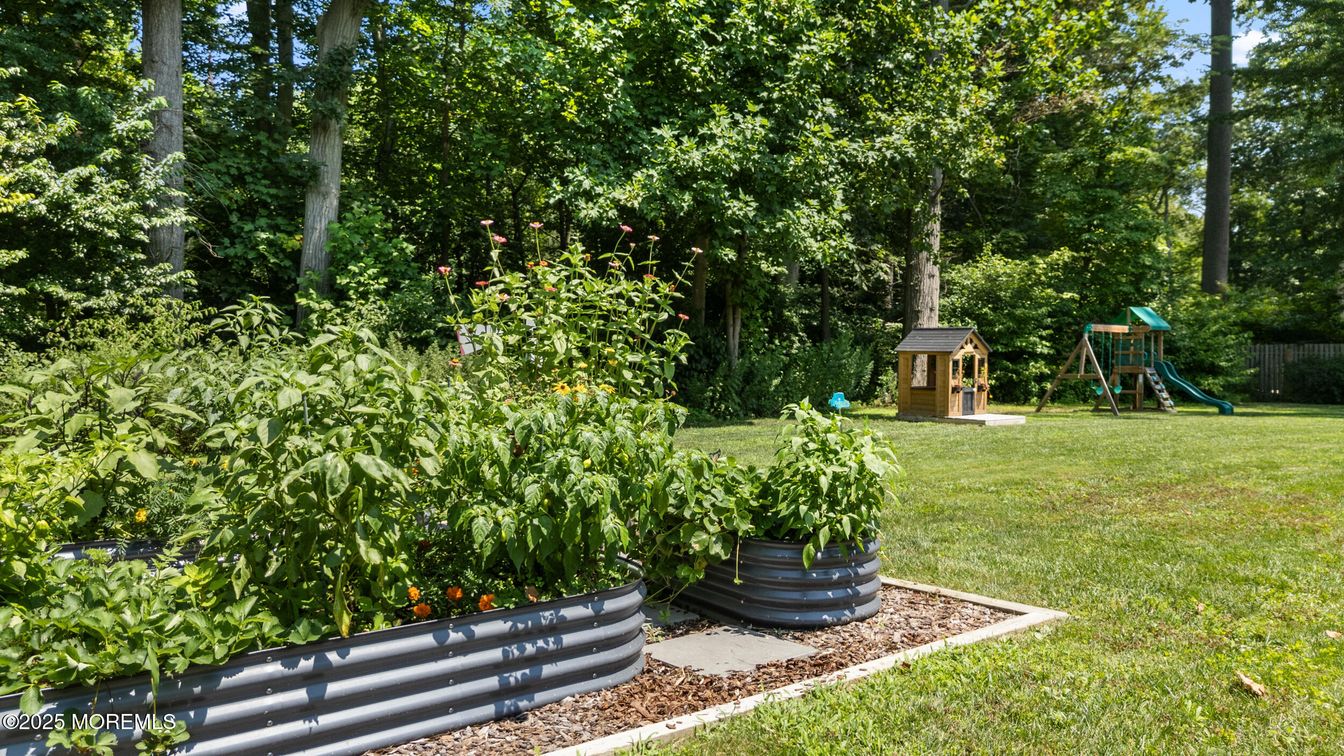 Backyard, Exterior, Playground
