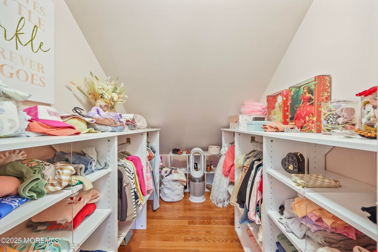 Interior, Walk-in Closets, Wood Texture Flooring