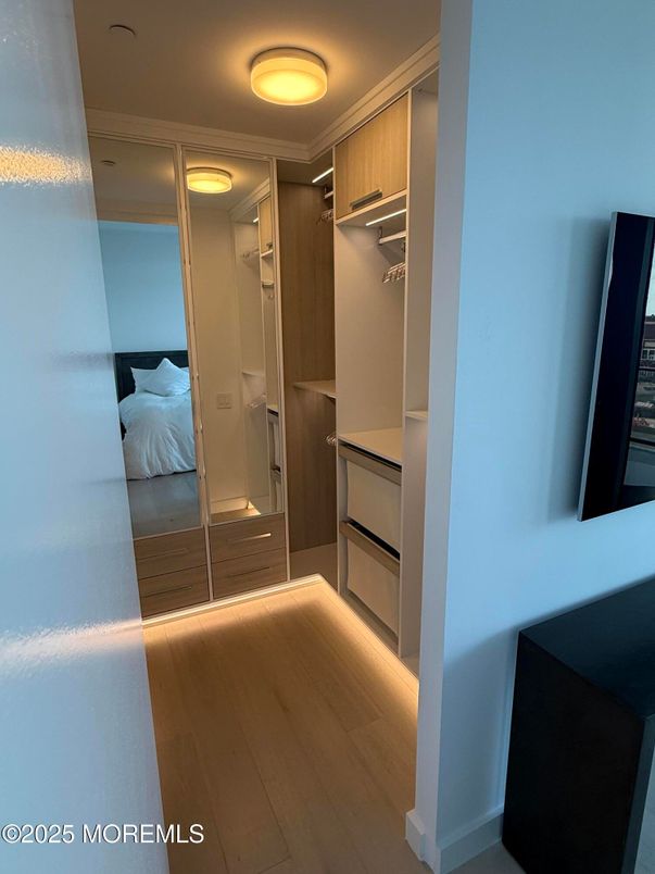 Bedroom, Interior, Walk-in Closets, Wood Texture Flooring