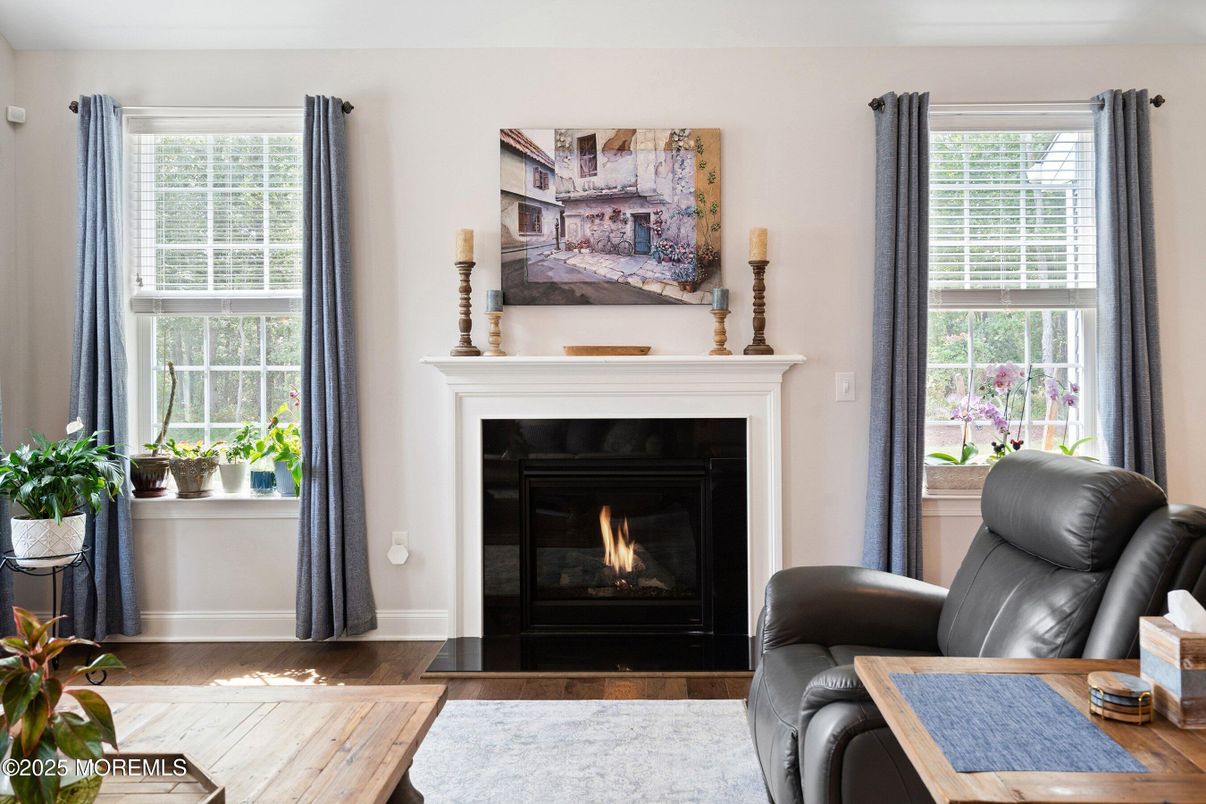Fireplace, Interior, Wood Texture Flooring