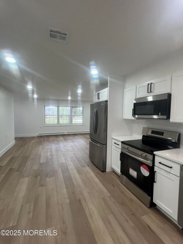 Interior, Kitchen, Stainless Steel Appliances, Wood Texture Flooring