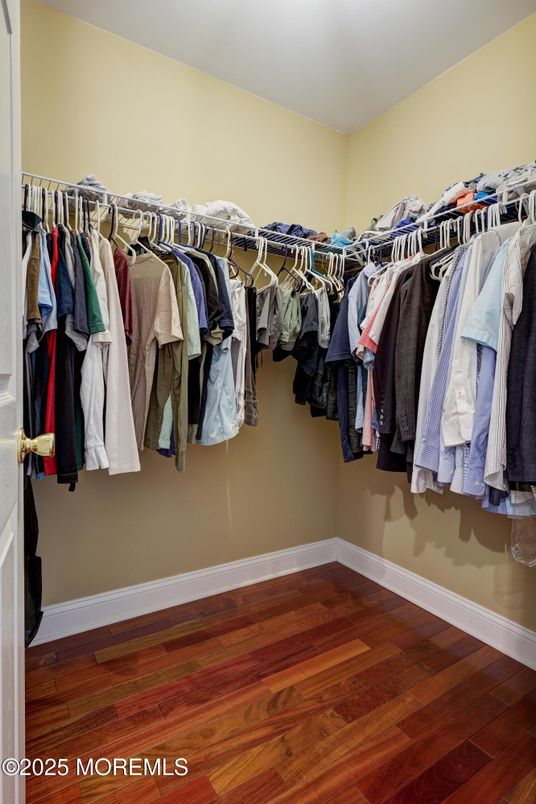Interior, Walk-in Closets, Wood Texture Flooring
