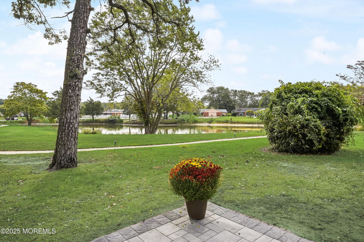 Backyard, Exterior, Water