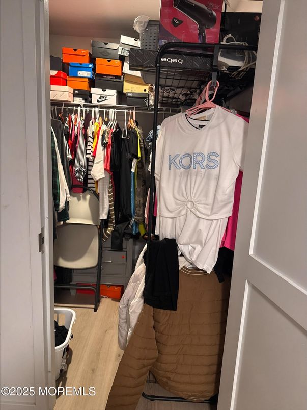 Interior, Walk-in Closets, Wood Texture Flooring