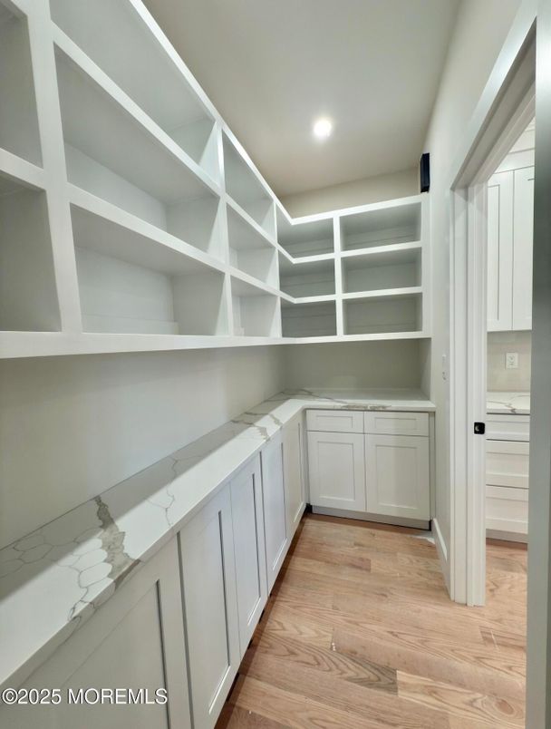 Interior, Recessed Lighting, Walk-in Closets, Wood Texture Flooring