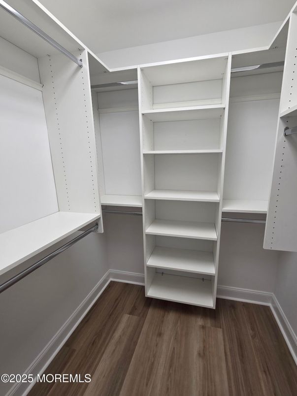 Interior, Walk-in Closets, Wood Texture Flooring