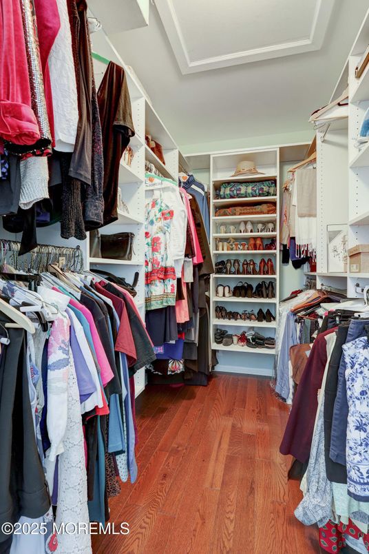 Interior, Walk-in Closets, Wood Texture Flooring