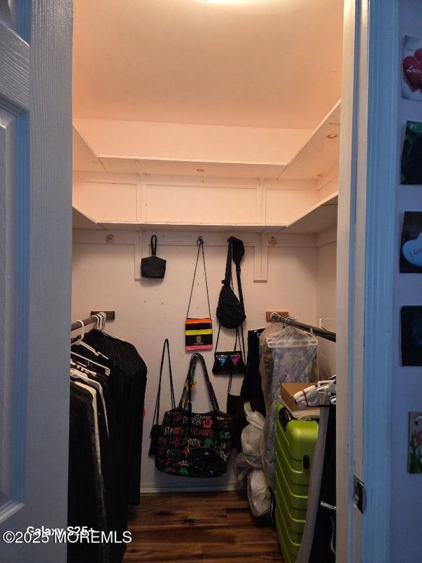 Interior, Walk-in Closets, Wood Texture Flooring