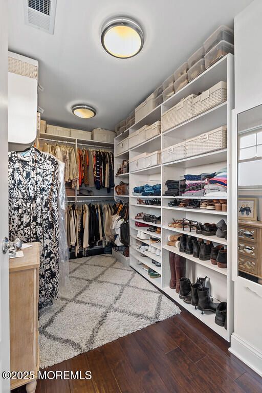 Interior, Walk-in Closets, Wood Texture Flooring