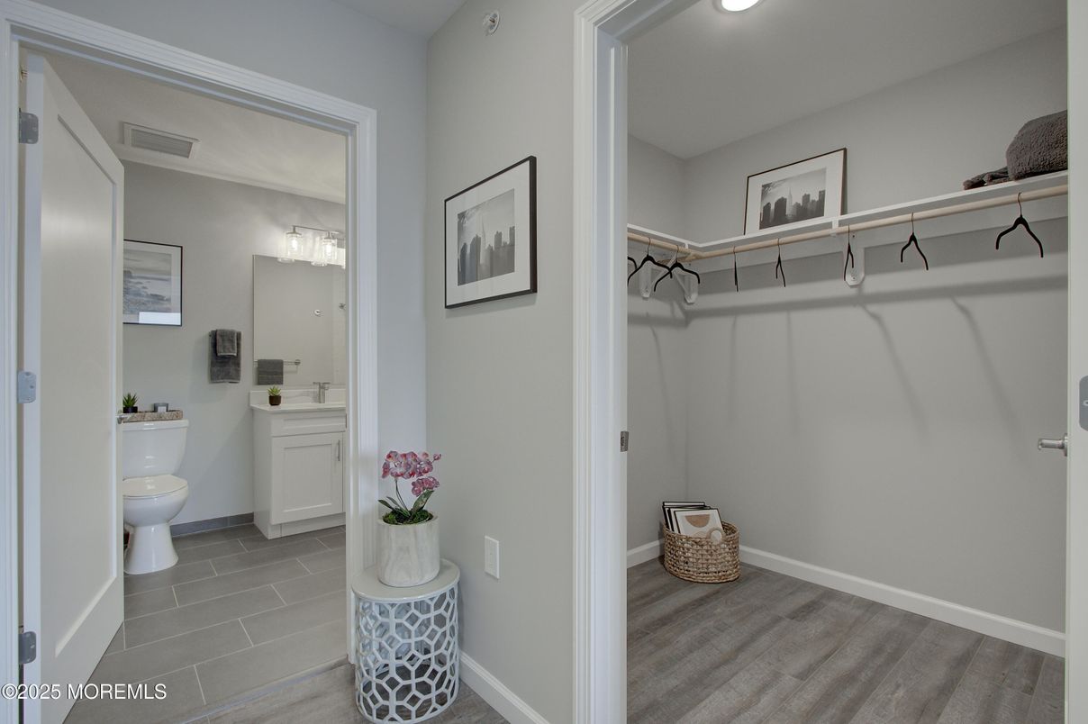 Bathroom, Interior, Recessed Lighting, Walk-in Closets, Wood Texture Flooring