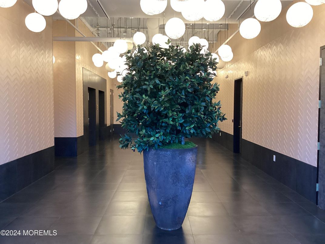 Interior, Pendant Lights