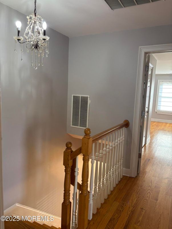 Chandelier, Interior, Wood Texture Flooring