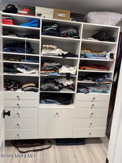 Interior, Walk-in Closets, Wood Texture Flooring