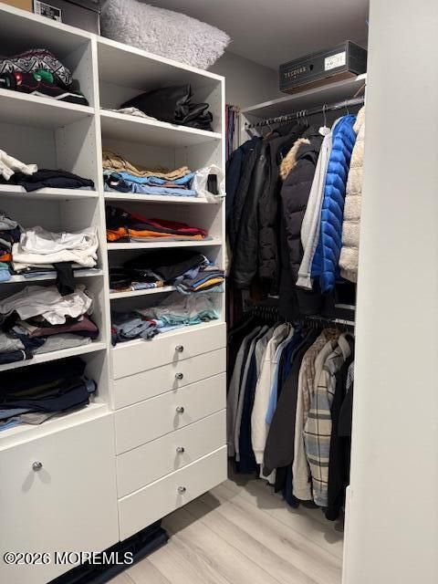 Interior, Walk-in Closets, Wood Texture Flooring