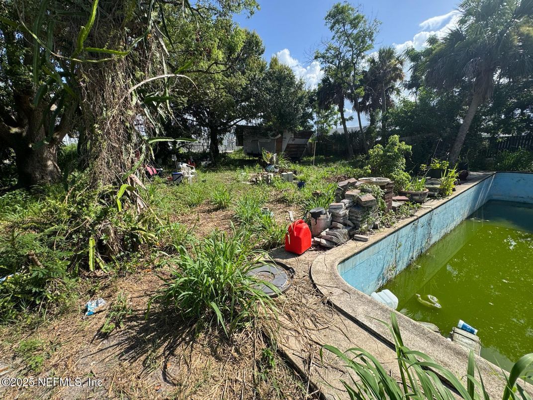 Backyard, Exterior, Pool