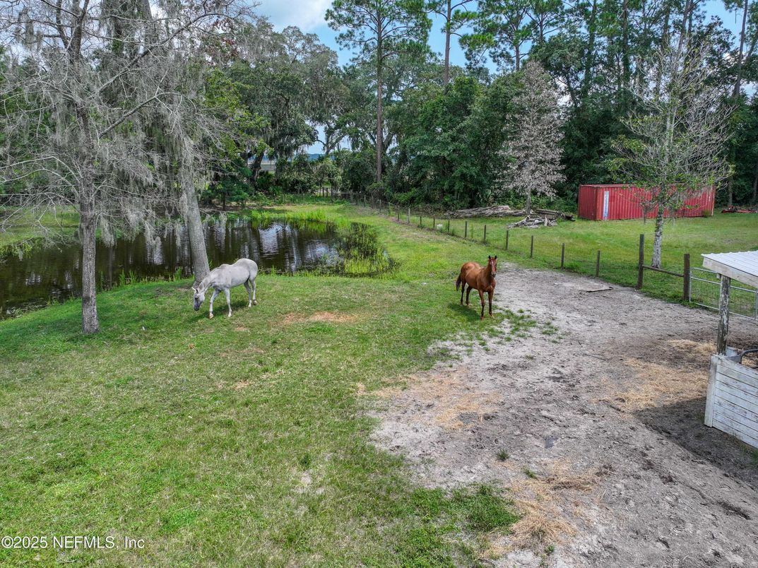 Backyard, Exterior