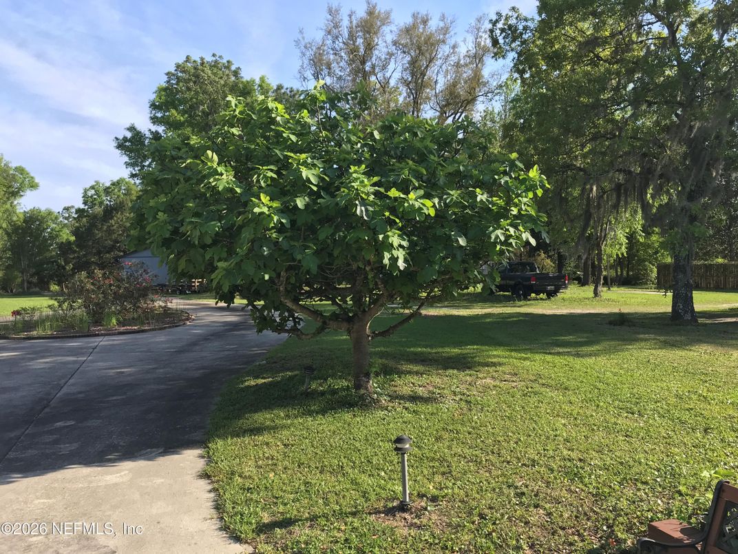 DE Listing image placeholder