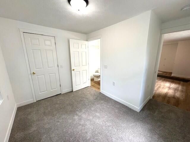 Bathroom, Empty room, Interior, Wood Texture Flooring