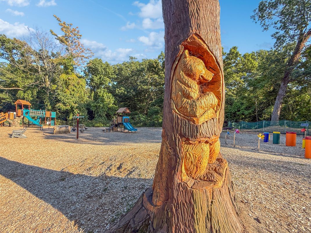Backyard, Exterior, Playground
