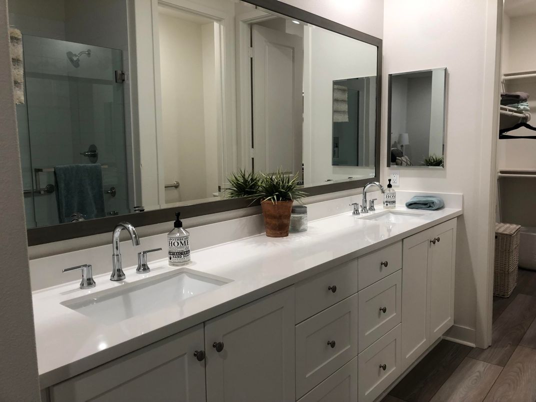 Bathroom, Dual Sink Vanities, Interior, Wood Texture Flooring