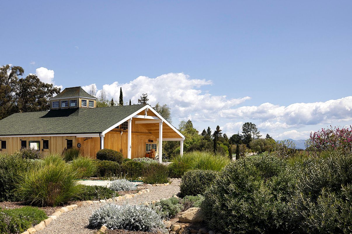 Backyard, Exterior, Facade, Ranch