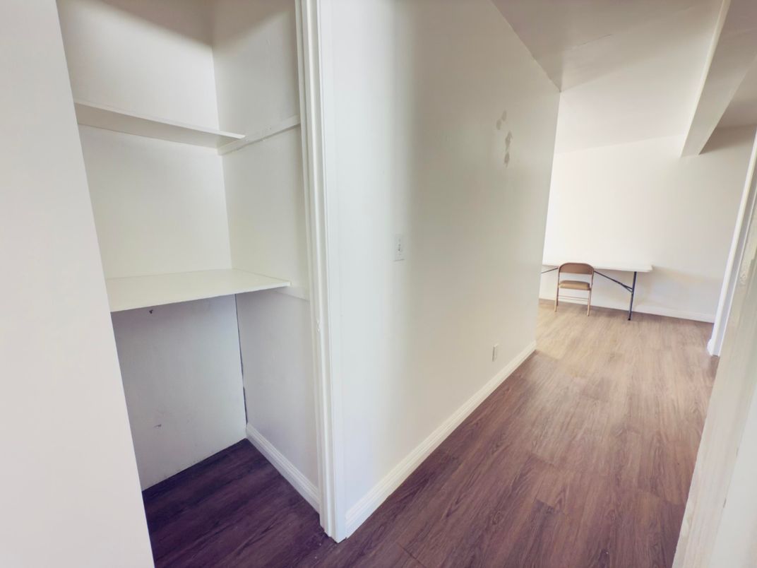 Interior, Walk-in Closets, Wood Texture Flooring