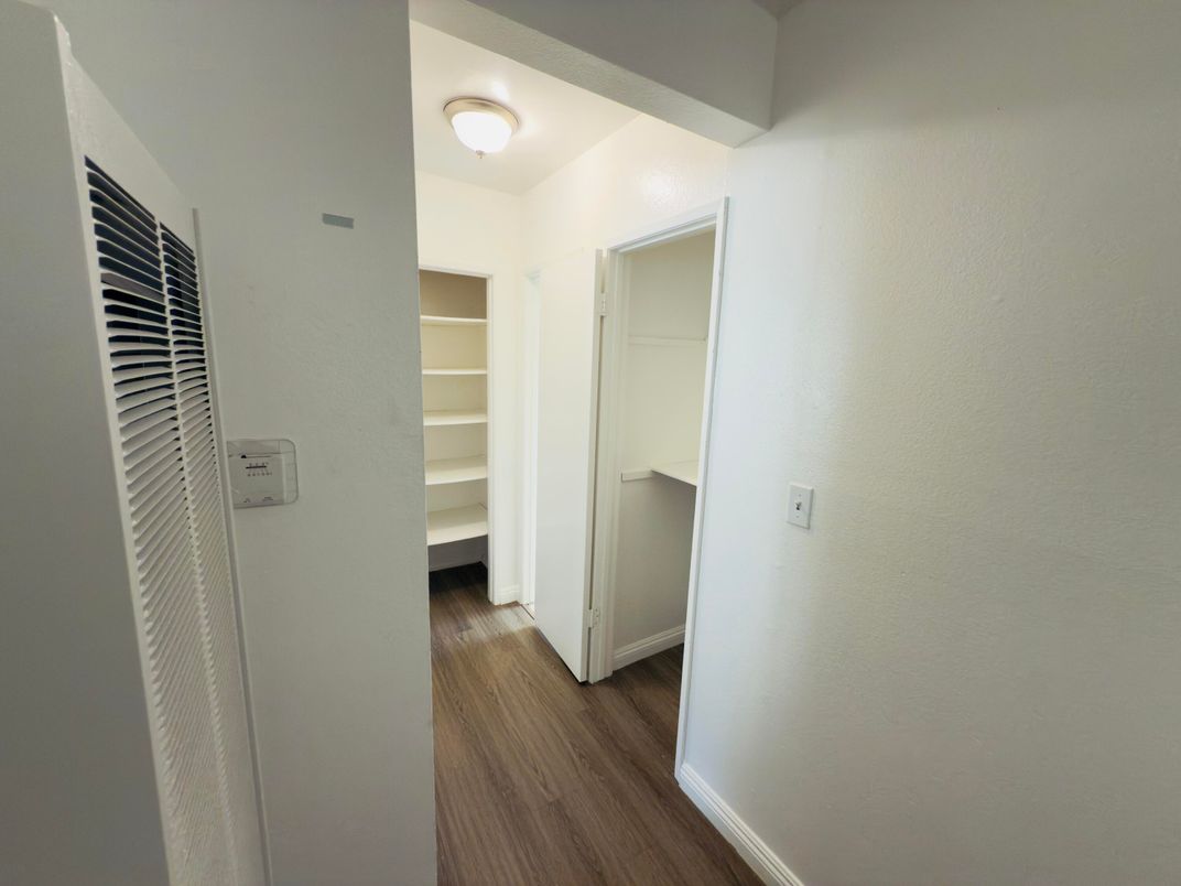 Interior, Walk-in Closets, Wood Texture Flooring